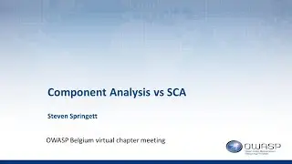 OWASP Belgium Virtual Chapter Meeting - Component Analysis vs SCA (by Steven Springett)