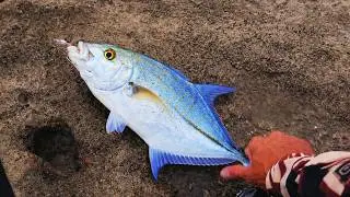 CAUGHT PAPIO AT NEW SPOT | HAWAII SHORE FISHING