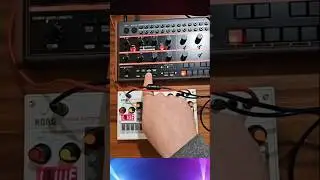 Behringer Grind and Korg Volca Sample #jamuary2026 #music #fun