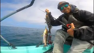 La Jolla Solo Skiff Fishing | Calico & Sand Bass with Tube Bait on 3 Way Swivel & Nomad Troll | SDFS