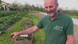 Garten-Tipps zum Thema Mischkulturen im heimischen Hochbeet