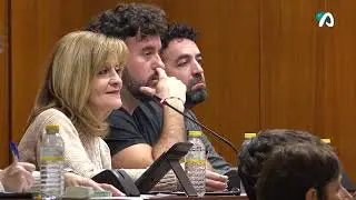 Hui Toca - Ple Ordinari Ibi - 13 gener 2026 2/2