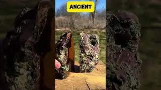 Native Copper Earth&rsquo;s First Metal Used by Ancient Civilizations 🔨History & Origins @thecopperguy