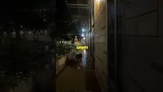 Commercial pressure washing at night