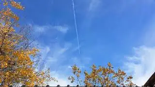 VID 20251112 091612 849