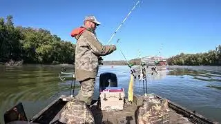 I Just Love These Fish