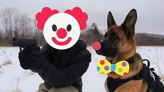 K9 Gear Essentials | Outtakes