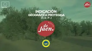 Subtitled Aceite de Ja&eacute;n PGI Regulatory Council