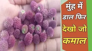 Gorakhmundi uses|physiology best motivational speech in hindi|knowledge full video||