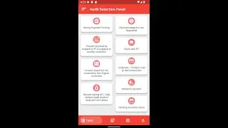 Credit Audit Collection & Reporting
