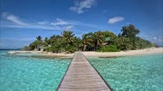 Maldives - Whale Sharks & Manta Rays