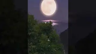 Moon Relaxation Music, moon night star sky video background music, moon night star sky relaxation.