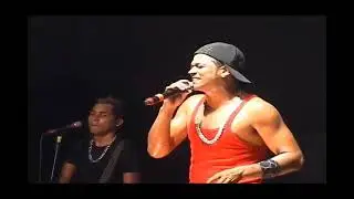 A Dan&ccedil;a da Tarrachinha &bull; DVD BANDA TARRACHA DE OURO