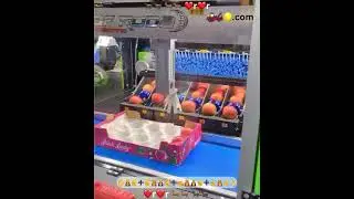 Fruit sorting machine that detects weight and size is replacing manual packaging labor#lol #cool #ai