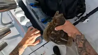 Fluke Fishing: Barnegat Light, NJ - The Best Spot!