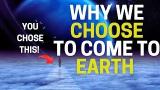 Why do Souls Choose Earth Suffering #soulcontract #reincarnation #souljourney #consciousness