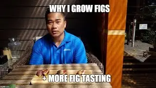 Why do I grow figs? + Tasting of the Takoma Violet Fig & Brandon Unk Main Crop