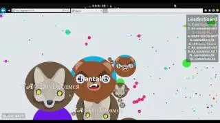 Honor a Chantality/Solo+14k