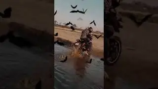 #viral #shortsvideo #rider #helment #automobile #ridinghelmet #video #duke