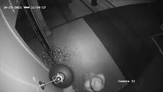 Encino Home Invasion Robbery NR21315dm
