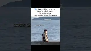 Exam hall 🥲 #memes #popular #viral #funnymemes #tweetreels #explore #shorts #cat
