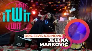 iTWiT #12 JELENA MARKOVIC