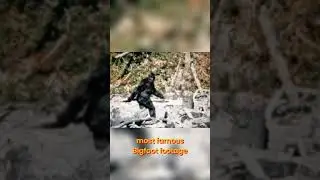 Is the Patterson-Gimlin Bigfoot REAL? Evidence Explained #shorts