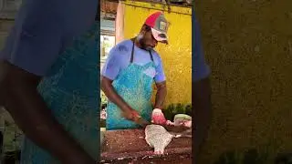 Your Favorite Snapper Fish  Cutting Like a Boss