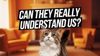 Can Cats Understand Us? Exploring Feline Cognition and Communication