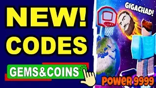 *NEW* ALL WORKING HOOP SIMULATOR CODES 2023 (Beginners Guide) ROBLOX HOOP SIMULATOR
