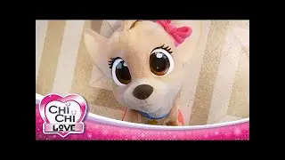 ChiChi LOVE - Ep01 The Vet - Full Episode in English