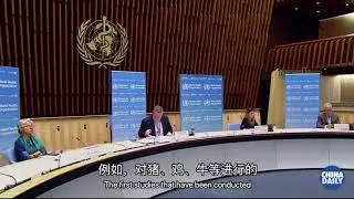 WHO Conference: Mink infections