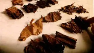How Counterfeit Cigars Are Made - Ep3 AftrWrd, pt2