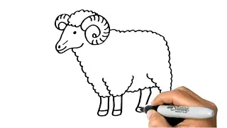 How to DRAW a RAM Sheep Easy Step by Step