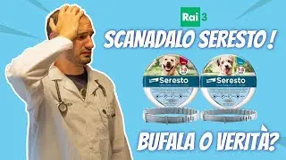 Veterinario commenta scandalo Seresto a Indovina chi viene a cena.