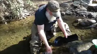 Banjo Pan Beta 1