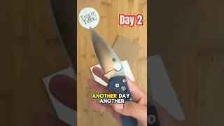 День 2️⃣: Тестирование стойкости режущей кромки &mdash; Spyderco Manix 2 Spy27 #triedandtrueedc #testin...