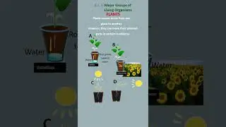 Moving Plants | #goldy #shorts #reproduce #diversity #grow #death #respire #excrete #stimuli #move