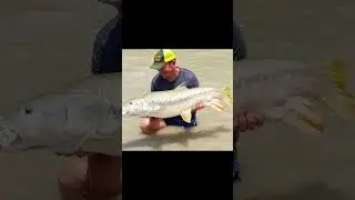 MAX-VIBE HYBRID - The Ultimate Soft Vibe Lure ! #goldenmahseer #fishing #lures #lurefishing