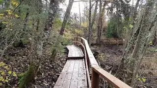Kymijoen ulkoilureitti, Niskalan osuus