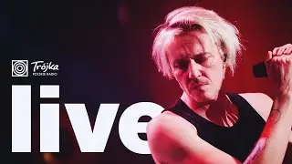 DIMoN - Zieleń | Koncert w Trójce