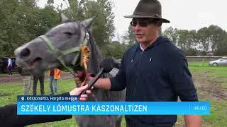 Székely lómustra Kászonaltízen – Erdélyi Magyar Televízió