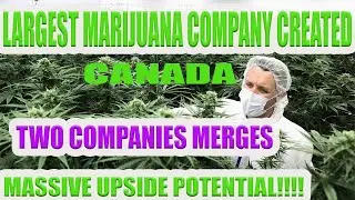 CANADIAN LARGEST MARIJUANA COMPANY CREATED: TILRAY AND APHRIA MERGES