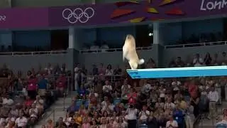 🐾💦 Flying Fur & Big Splashes: Dog Dive Showdown 💦🐾