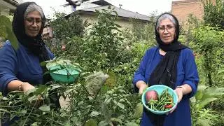 Rainy Village Morning | Weeding the Garden & Harvesting Peppers 🌶️🌧️