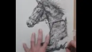 Complete real-time video of pen/pencil horse drawing - esoteric/ meditative calming peaceful music