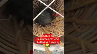 Column Reinforcement and Shuttering Checking #column #shuttering #construction