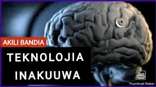 MATUMIZI YA AKILI BANDIA KWA BINAADAMU NA MAZARA YAKE (perfect side tz)