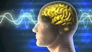Spark the Revolutionary Science of Exercise and The Brain REVIEW Mastermind Book Club