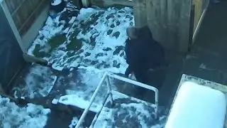 Slippery Ice Fails: Family's Hilarious Struggle to Stay Upright || WooGlobe
